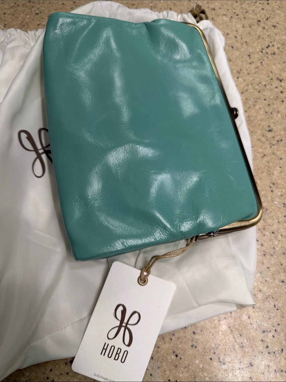HOBO LAUREN CROSSBODY SEAGLASS Leather Kiss-Lock Wristlet Clutch with Gold Frame